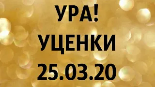 🌸УРА!!1 УЦЕНКИ. (завоз 25. 03. 20 г.) Отправка только по Украине. ЗАМЕЧТАТЕЛЬНЫЕ КРАСОТКИ👍