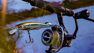 Pike fishing with the Savage Gear Gravity Twitch