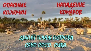 🇨🇺КУБА.🏝ПЛЯЖ ОСТРОВА КАЙО КОКО.🦟ЗЛЫЕ КОМАРЫ.🔥ОПАСНЫЕ КОЛЮЧКИ. КРАБ ОХОТНИК.💥Хочу на Кубу 2023!