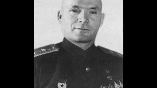 Воспоминания. Лелюшенко Дмитрий Данилович (1901–1987)