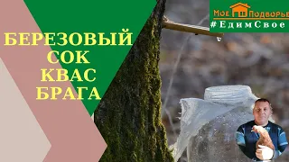 Березовый: СОК, КВАС, БРАГА// "Мое подворье"