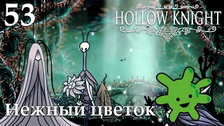 #53 Как донести Нежный цветок в первый раз | Прохождение игры Hollow Knight