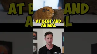 Betting Crypto on Hamster Races??