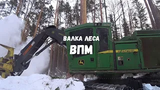 ЛЕСОЗАГОТОВКА. Валка леса ВПМ(валочно-пакетирующей машиной).