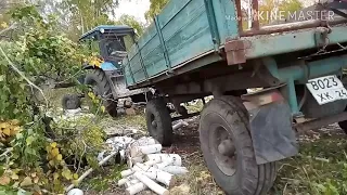 Заготовка дров на тракторе осень