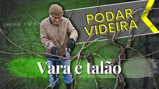 How to PRUNE VINE, stick and bead.