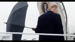 "Umbrellas Are Hard" Internet Roasts Trump Over Umbrella Video