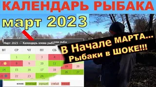 Календарь рыбака на Март. Прогноз клева рыбы на эту неделю Лунный календарь рыбака на Март 2023