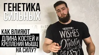 От чего зависит СИЛА МЫШЦ? Кто СИЛЬНЕЕ? (Генетика)