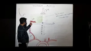 Suboccipital triangle - Lecture