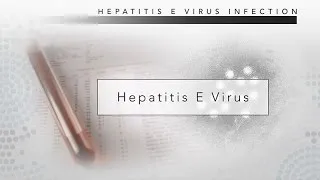 Hepatitis E: CDC Viral Hepatitis Serology Training