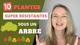 Que planter sous un arbre ? 10 plantes SUPER RESISTANTES