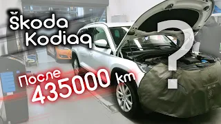 Отзыв владельца Skoda Kodiaq после 435000 км пробега! 😮 Живее всех живых?