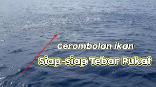 PUKAT CINCIN, proses Penangkapan  ikan terbanyak di laut ACEH