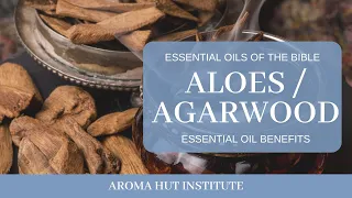 Agarwood In The Bible - Aloes (Oils of the Bible)