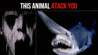 Mr Incredible Becoming Uncanny - This animal attack you