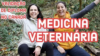 Como validar o diploma de Medicina Veterinária no Canadá! | PASSO A PASSO