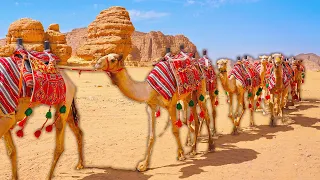 Secrets Of The Camel's Hump: How To Survive Extreme Heat | WILD ASIA | Real Wild
