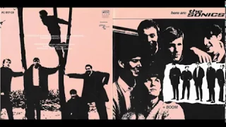 The Sonics - Have Love Will Travel