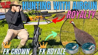 HUNTING WITH AIR GUN ROYALTY I PIGEON PEST CONTROL I LONG RANGE AIR GUN HUNT