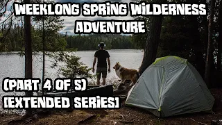 Weeklong Spring Wilderness Adventure With My Dog (Part 4 of 5) [Extended Series]