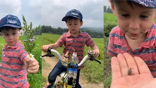 Đi bắt cua đồng /Hunting for crabs in Vietnam