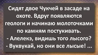 Два Чукчи в Засаде Увидели Лысого! Сборник Самых Смешных Анекдотов!