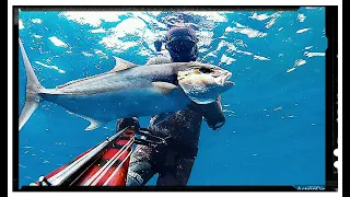 Pesca Submarina - MEDREGAL (Amberjack, Ricciola, Pez Limón, Seriola) ♥️🔱🤿 Spearfishing.💦