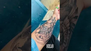 15 dias de cicatrização da tatuagem/tattoo