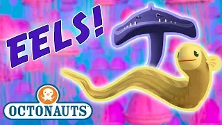 Octonauts - Learn about Eels & Jellyfish | Cartoons for Kids | Underwater Sea Education