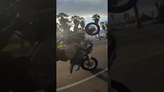 DR650 wheelie