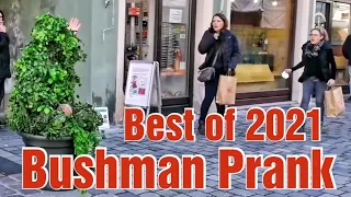 Bushman Prank  Best of 2021