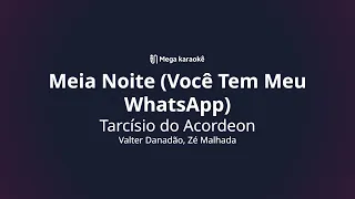 🎤 Meia Noite (Você Tem Meu WhatsApp) – Tarcísio do Acordeon