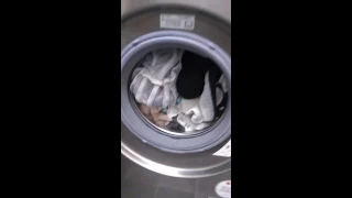 LG Washer Dryer Combo: Wash + Dry Cycle (How to Use)