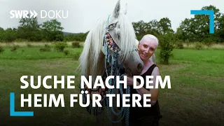 Gnadenhof vor dem Aus? Schwierige Suche nach dem Heim für Tiere | SWR Doku