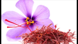 Will Saffron Increase Female Libido