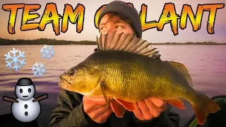 COLD PERCH FISHING IN THE SWEDISH ARCHIPELAGO🇸🇪 | Team Galant