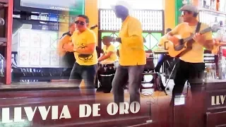 Son cubano para bailar Musica cubanas La Habana Cuba Calle Obispo Lluvia de Oro Havana Soul Cafetal