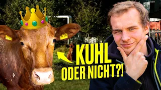 WTF?! 🐮 Schönheitswettbewerbe für Kühe: Landwirt testet 🕵️‍♂️ I Hundert Hektar Heimat