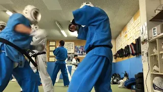 HIT THE MAT: Daido Juku Kudo (Kishiwada Dojo - Osaka)