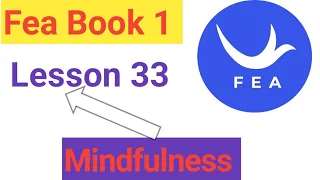fea lesson 33 ( Mindfulness)