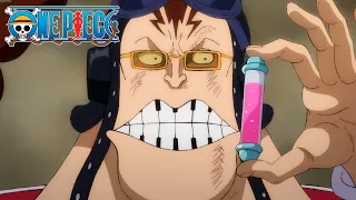 If You Drop the Antibody, You Die In Real Life! | One Piece