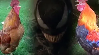 “tHat iS a rEd oNe!” l Venom 2: Let There Be Carnage Memes