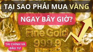 Tại sao phải mua vàng ngay bây giờ?