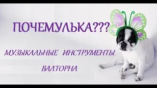 ПОЧЕМУЛЬКА. МУЗЫКАЛЬНЫЕ ИНСТРУМЕНТЫ. ВАЛТОРНА. СТИХИ ДЛЯ МАЛЫШЕЙ.