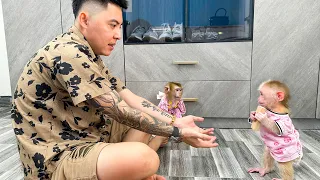 Monkey Kaka and dad teach monkey Mit to fetch things on command