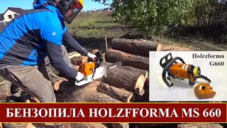 Бензопила HOLZFFORMA MS 660 Реальний ТЕСТ на РІЗАННІ ДУБА