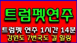 272. 트럼펫 연주 트로트 디스코 메들리 트럼펫연주 경음악 메들리 강원도 7번 일반국도 길 힐링 (전곡 노래제목 제공) 인기곡모음 즐감 하세요 #화물운송콜센터