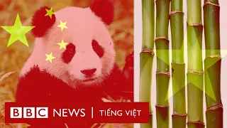 Biển Đông: Việt Nam làm gì để đối phó Trung Quốc? - BBC News Tiếng Việt