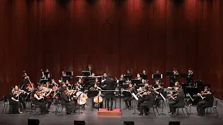 Brahms Symphony No.3 2nd mov.(브람스교향곡 제3번 2악장)/ 0331 BPS챔버오케스트라 제3회정기연주회 “도약”